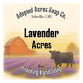 Foaming Hand Soap 8oz